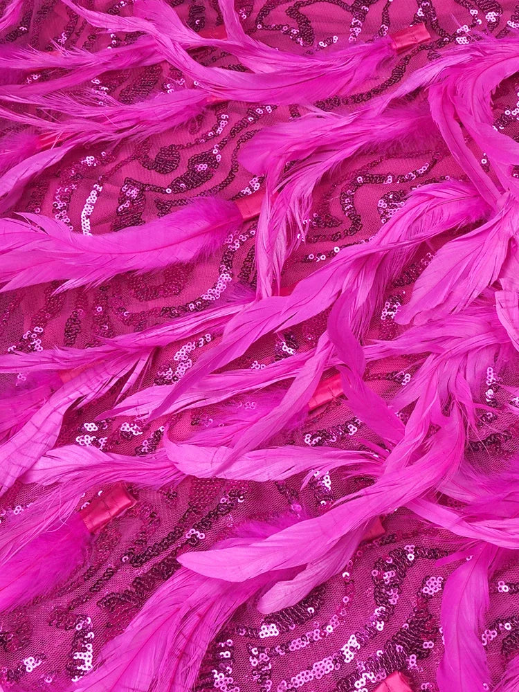 New Hot Pink Feathers Evening Dresses