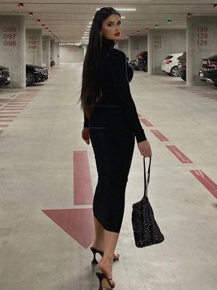 Turtleneck Black Sexy Bodycon